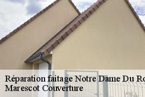 Réparation faitage  notre-dame-du-rocher-61100 Marescot Couverture