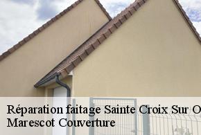 Réparation faitage  sainte-croix-sur-orne-61210 Marescot Couverture