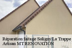 Réparation faitage  soligny-la-trappe-61380 Artisan MT RENOVATION