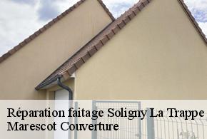 Réparation faitage  soligny-la-trappe-61380 Marescot Couverture