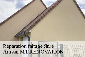 Réparation faitage  sure-61360 Artisan MT RENOVATION