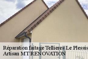 Réparation faitage  tellieres-le-plessis-61390 Artisan MT RENOVATION