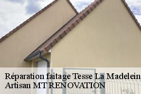 Réparation faitage  tesse-la-madeleine-61140 Artisan MT RENOVATION