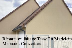 Réparation faitage  tesse-la-madeleine-61140 Marescot Couverture